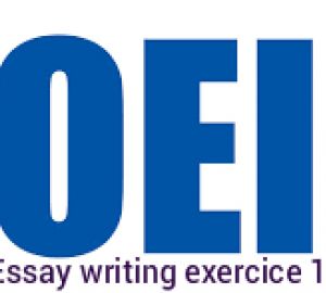 BULATS & TOEIC Essay Writing 13